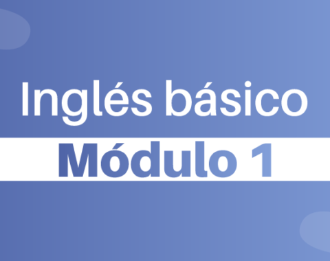 Modulos-portada